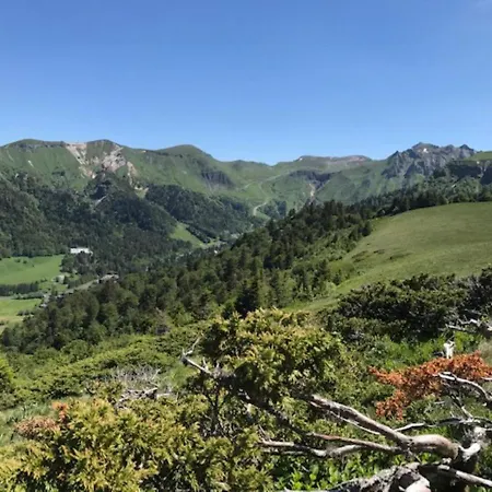 Mont-dore: T2 Avec Balcon, Parking Couvert, 4 Pers. - Fr-1-608-109 Apartamento