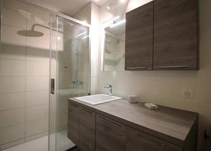 Mont-dore: T2 Avec Balcon, Parking Couvert, 4 Pers. - Fr-1-608-109