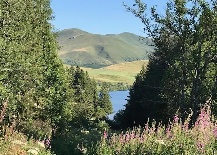 Mont-dore: T2 Avec Balcon, Parking Couvert, 4 Pers. - Fr-1-608-109 Apartment