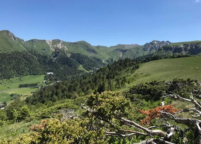 Mont-dore: T2 Avec Balcon, Parking Couvert, 4 Pers. - Fr-1-608-109 Lejlighed